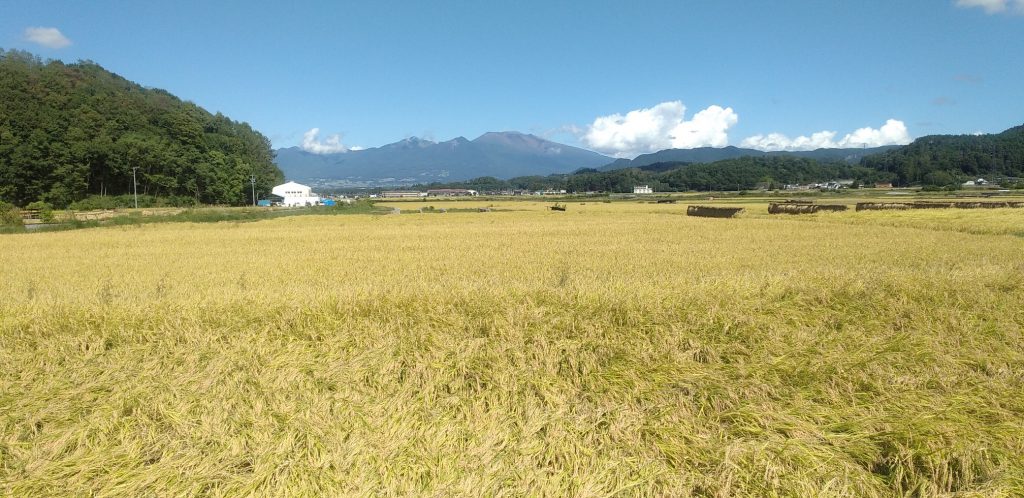 １．浦上原天　キノコ雲からさあもう一度　長崎原爆　クリエイティブメディア出版　クリエイターズワールド　